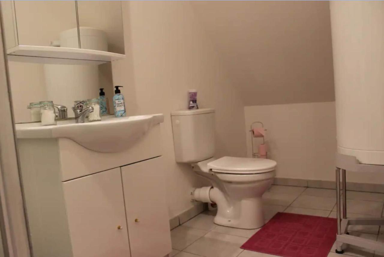 Chez Nous -Parking Gratuit Et Wifi A Vierzon Appartement Buitenkant foto